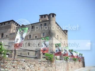 grinzanecavour8.jpg