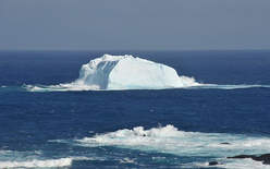 Antarctica_cruise4.jpg
