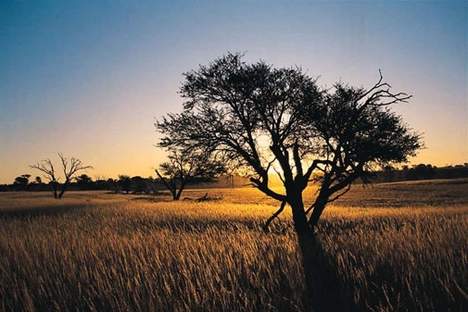 Afrika_NP3.jpg