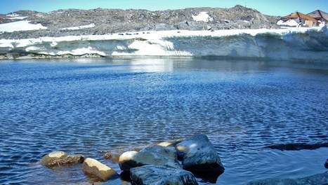 Antarctica_cruise5.jpg