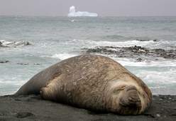 Antarctica_cruise3.jpg