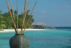 Coco_Palm_Bodu_Hithi_resort2.jpg